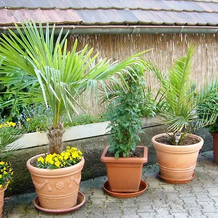 Ferienwohnung Deutschle Am Bodensee Appartement